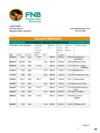 Download Botswana FNB of Botswana bank statement excel Photoshop template
